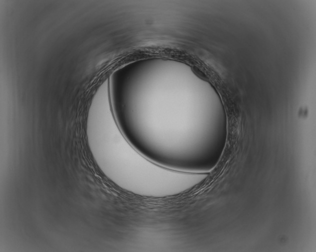 X0000091010965200708021403