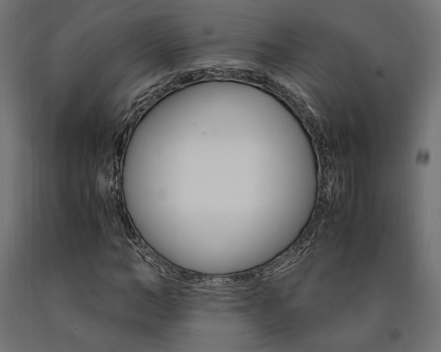 X0000091010966200708021403