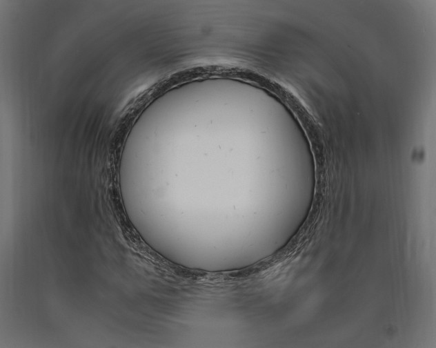 X0000091010967200708021403