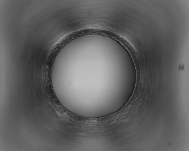 X0000091010968200708021403