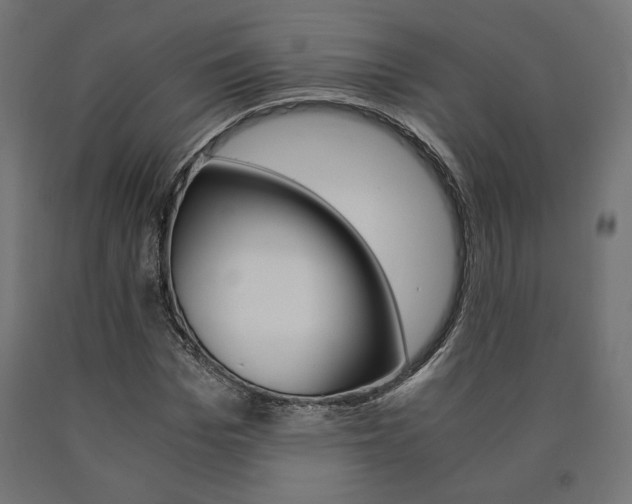 X0000091010969200708021403