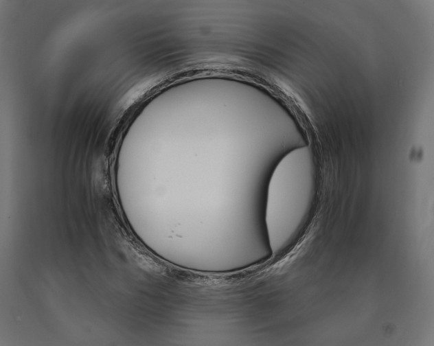 X0000091010970200708021403