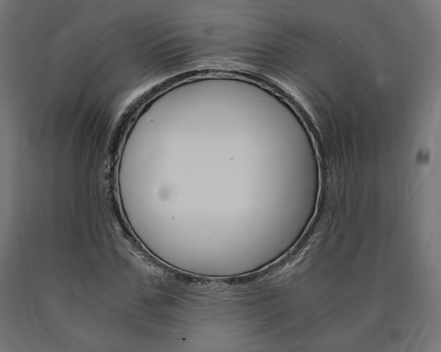X0000091010971200708021403
