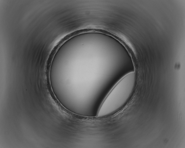 X0000091010972200708021403