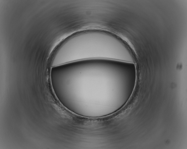 X0000091010973200708021403