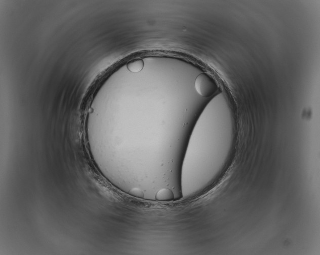 X0000091010974200708021403