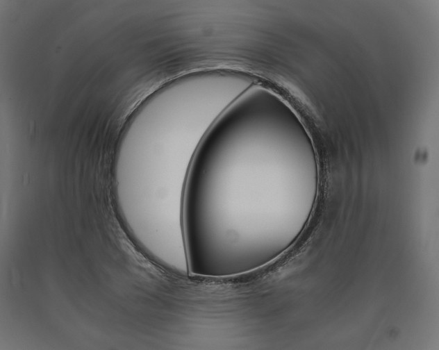 X0000091010977200708021403