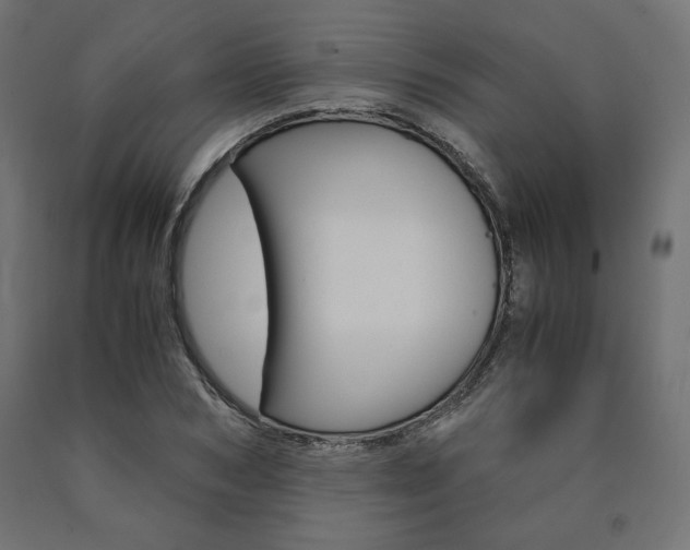 X0000091010978200708021403
