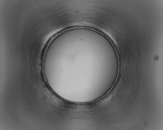 X0000091010979200708021403