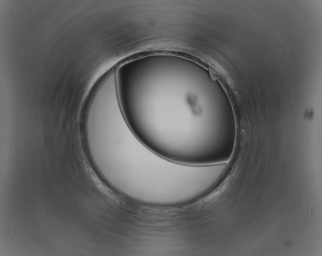X0000091010981200708021403