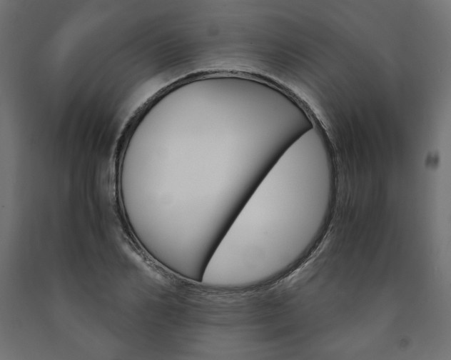 X0000091010982200708021403