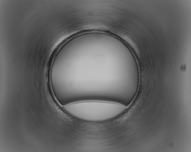 X0000091010983200708021403