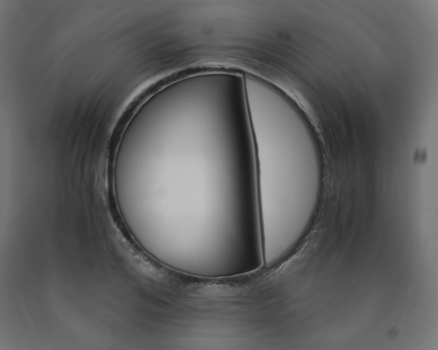 X0000091010984200708021403