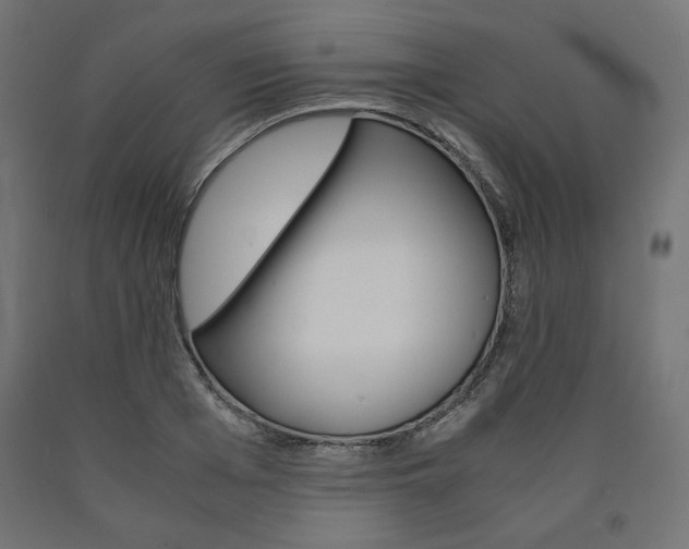 X0000091010985200708021403