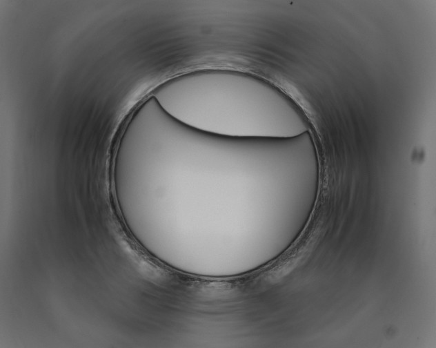 X0000091010986200708021402
