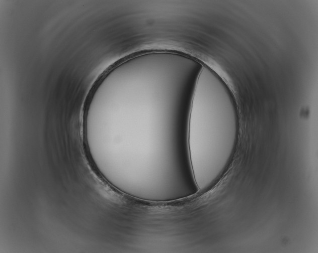 X0000091010988200708021402