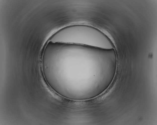 X0000091010989200708021402