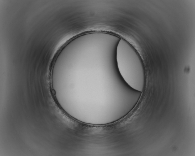 X0000091010990200708021402