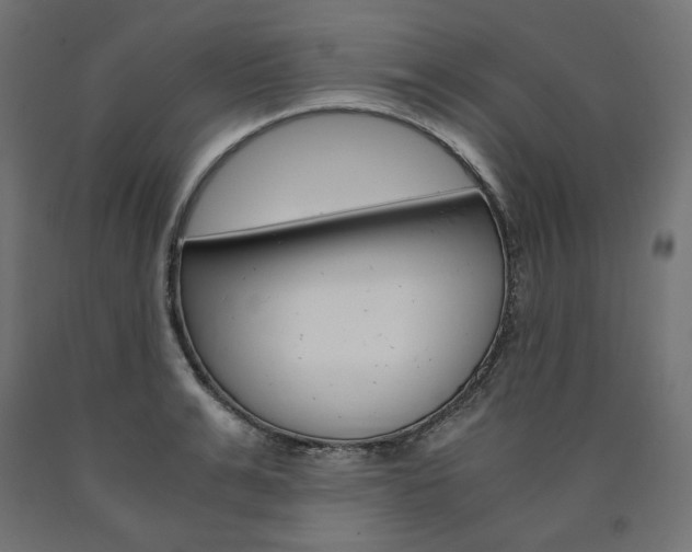 X0000091010991200708021402