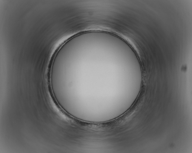 X0000091010995200708021402