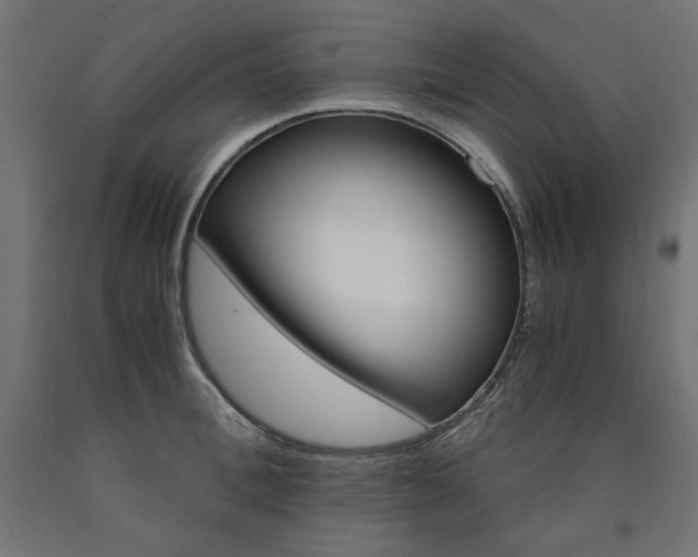 X0000091010996200708021402
