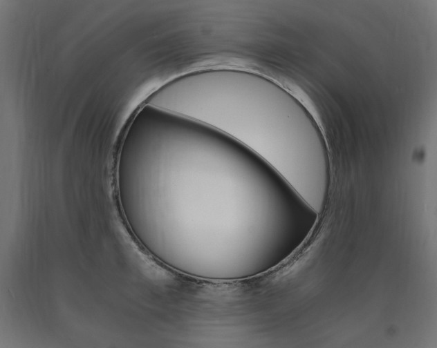 X0000091010997200708021402
