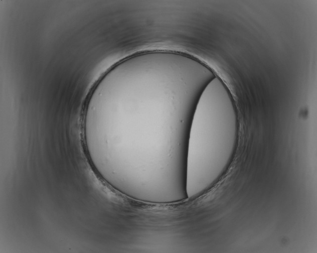 X0000091010998200708021402