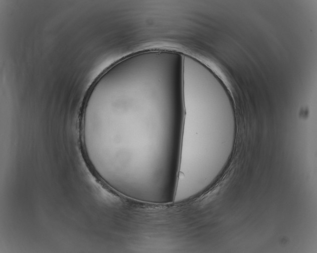 X0000091010999200708021402