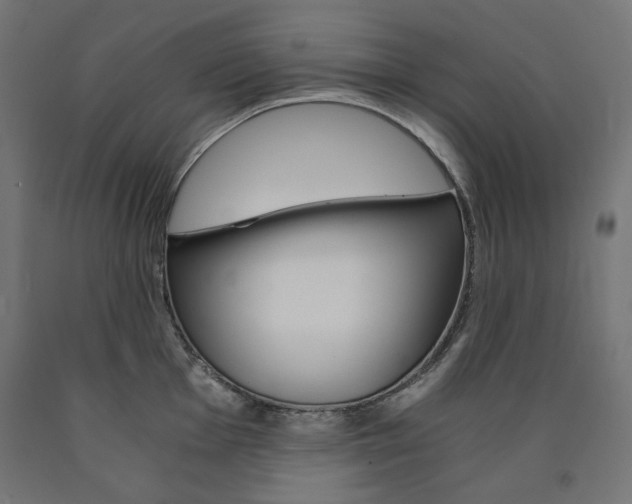X0000091011001200708021402