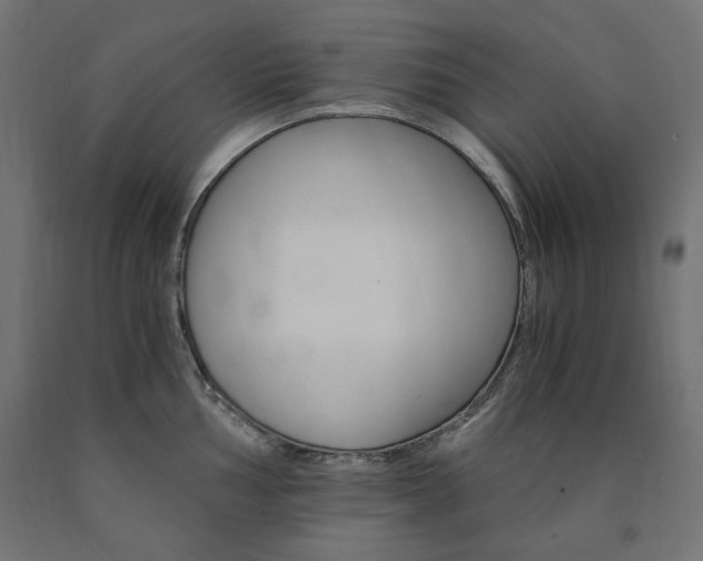 X0000091011002200708021402