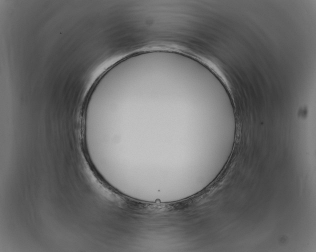 X0000091011003200708021402