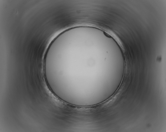 X0000091011004200708021402