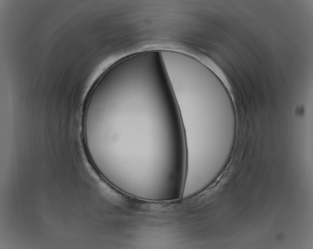 X0000091011005200708021402