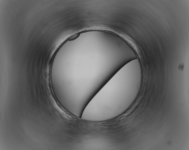 X0000091011006200708021402