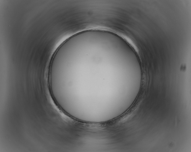 X0000091011007200708021402