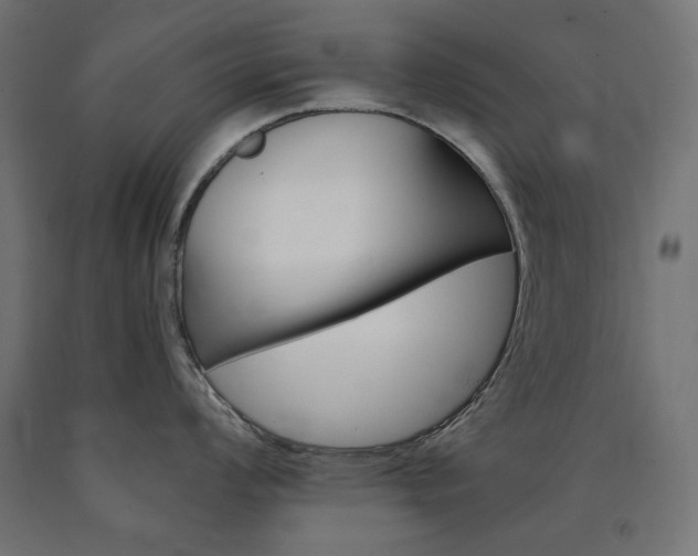 X0000091011008200708021402