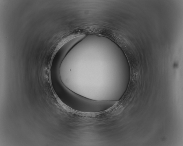 X0000091011010200708021401