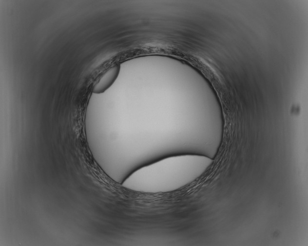X0000091011015200708021402