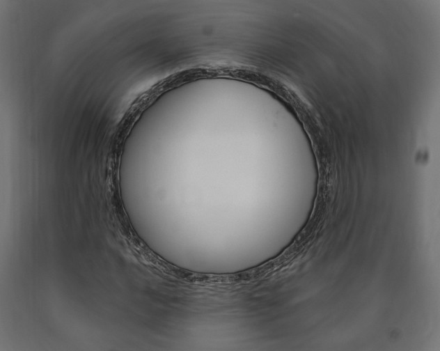 X0000091011016200708021402