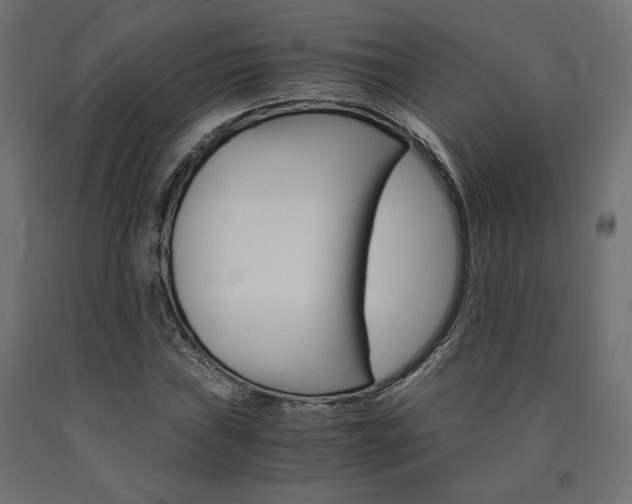 X0000091011019200708021402