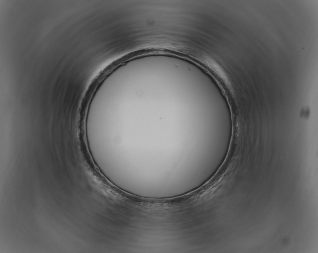 X0000091011020200708021402