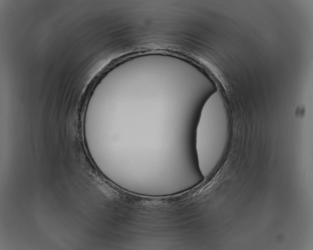 X0000091011023200708021402