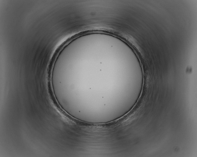 X0000091011024200708021402