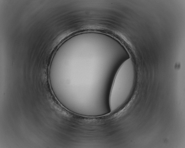 X0000091011025200708021402