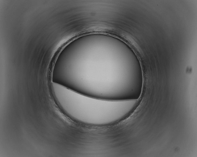 X0000091011026200708021402