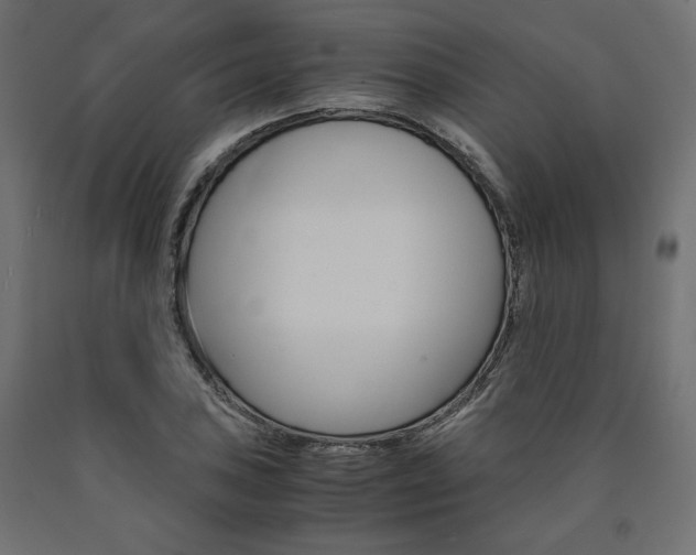 X0000091011027200708021402
