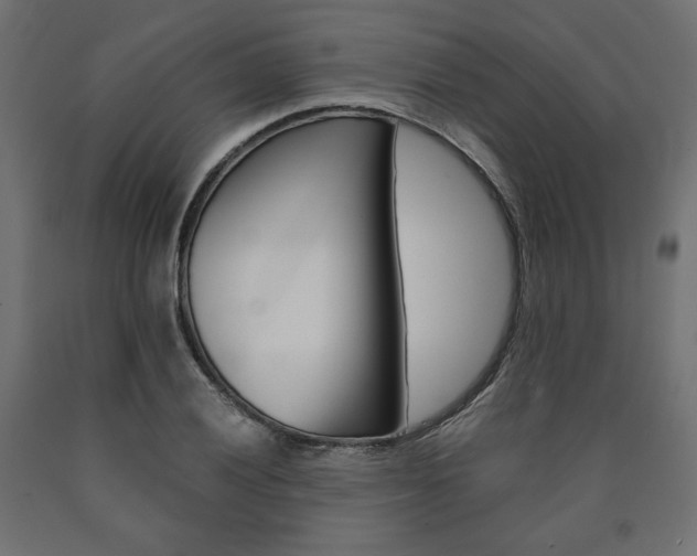 X0000091011028200708021402