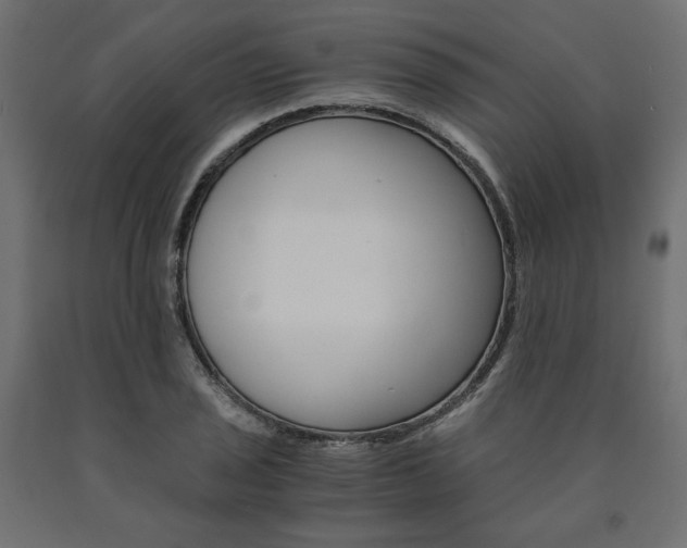 X0000091011029200708021402