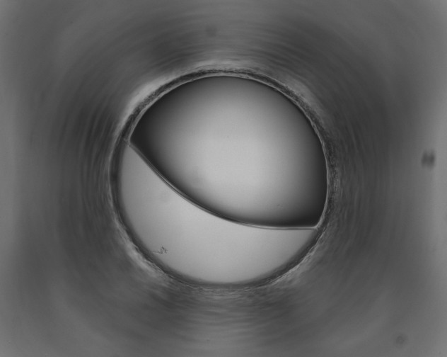 X0000091011030200708021402