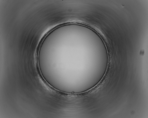 X0000091011032200708021402